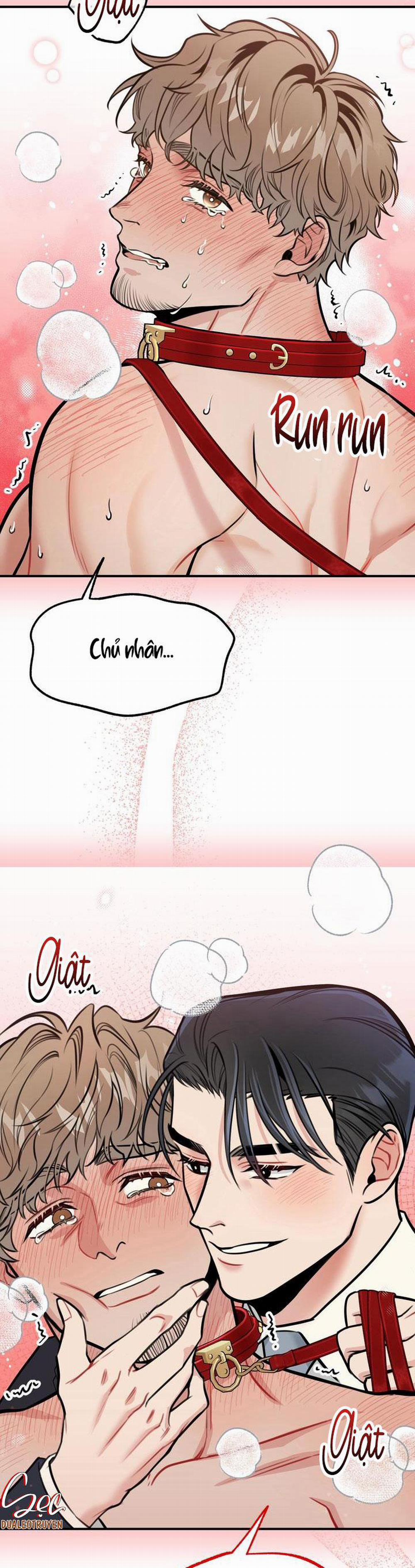 Hướng Dẫn Bdsm Cơ Bản 4 0 trang 27