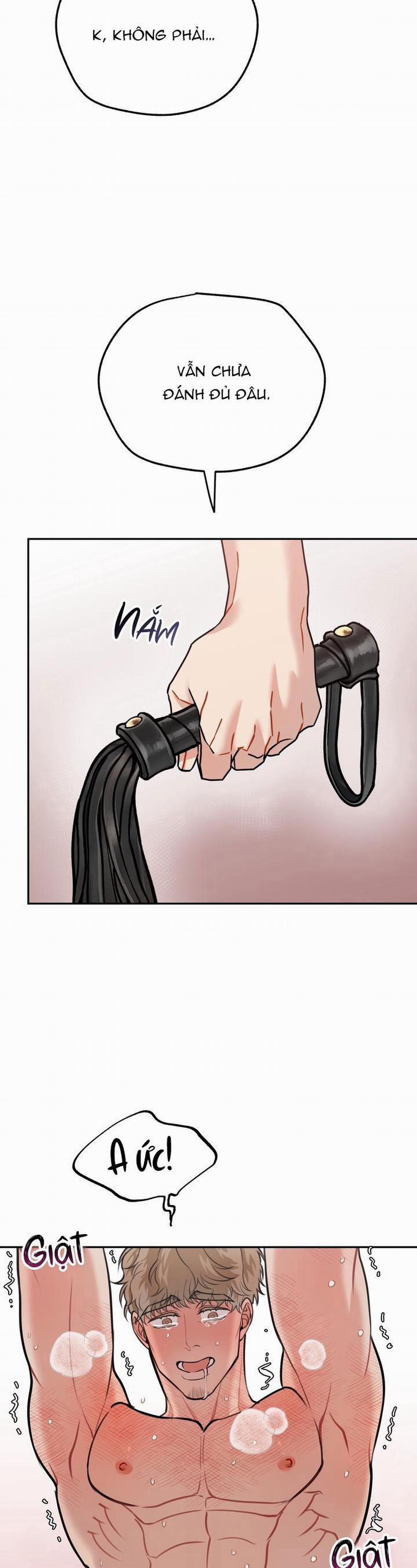 Hướng Dẫn Bdsm Cơ Bản 7 0 trang 41