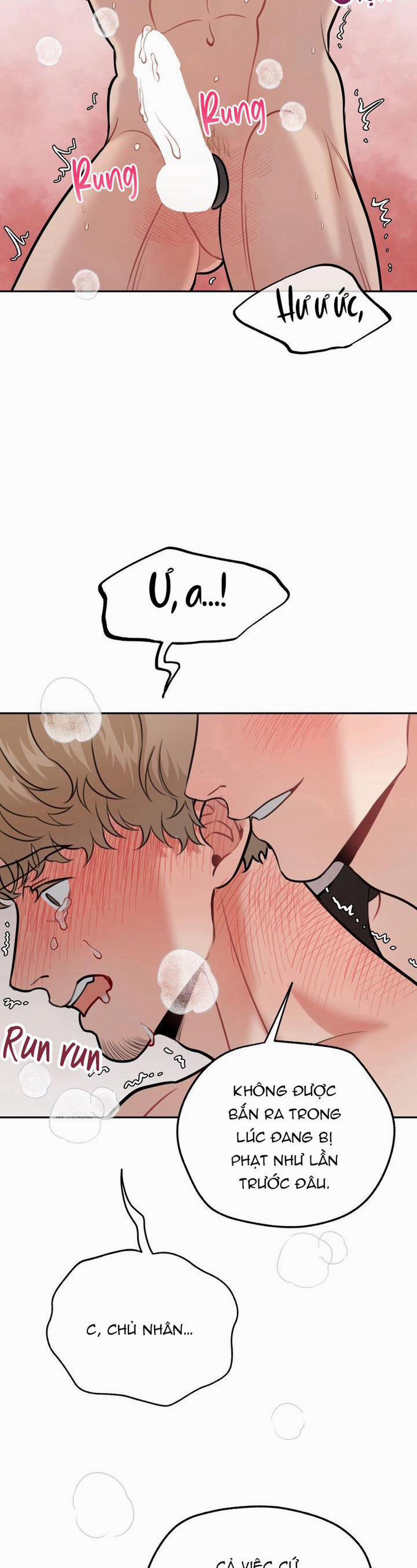 Hướng Dẫn Bdsm Cơ Bản 7 0 trang 42