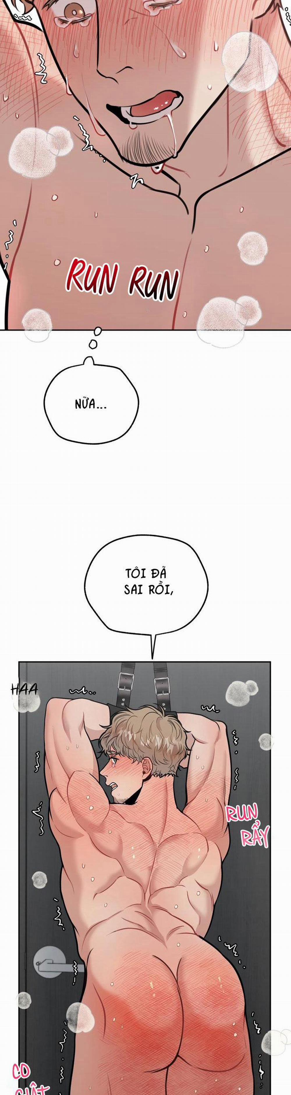 Hướng Dẫn Bdsm Cơ Bản 7 0 trang 44