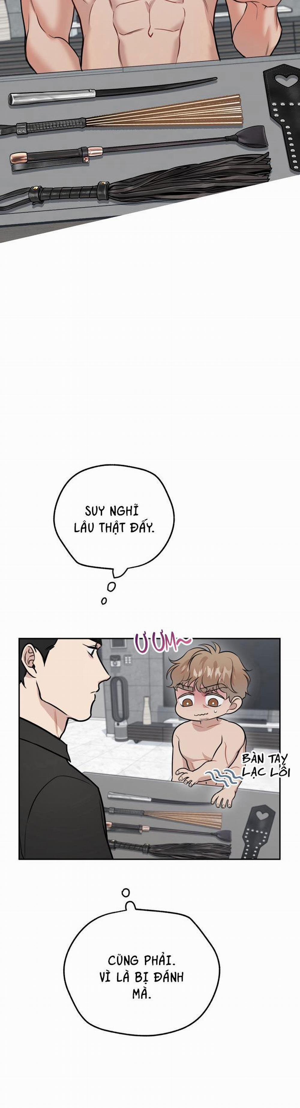 Hướng Dẫn Bdsm Cơ Bản 7 0 trang 8