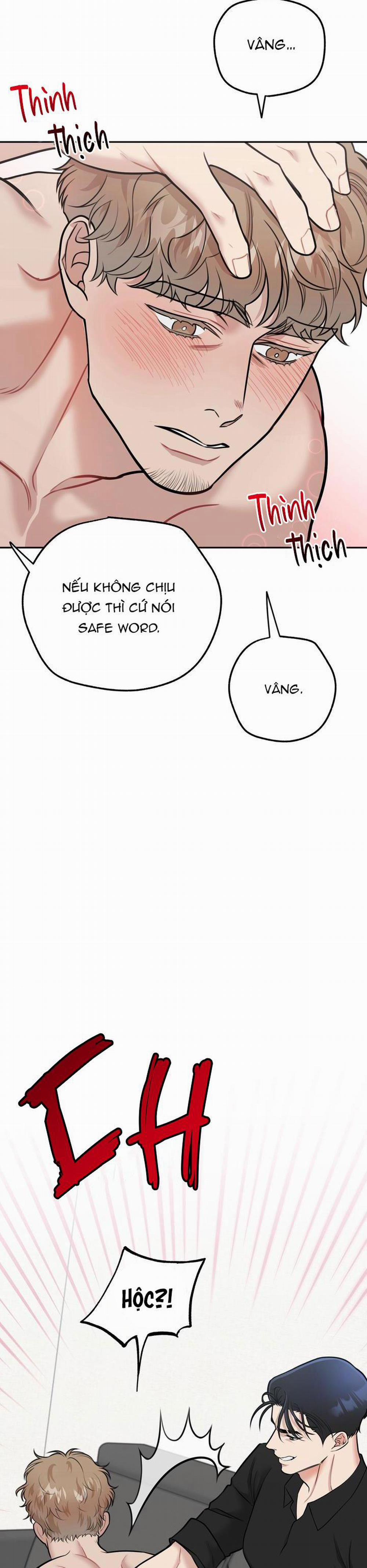 Hướng Dẫn Bdsm Cơ Bản 7 trang 17