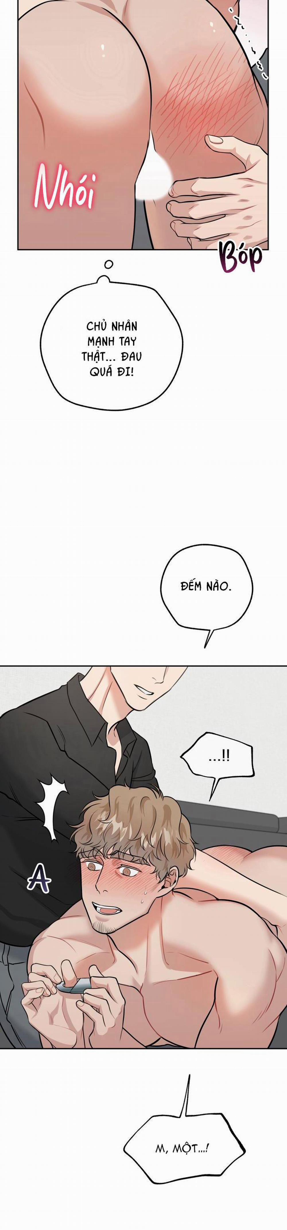 Hướng Dẫn Bdsm Cơ Bản 7 trang 19