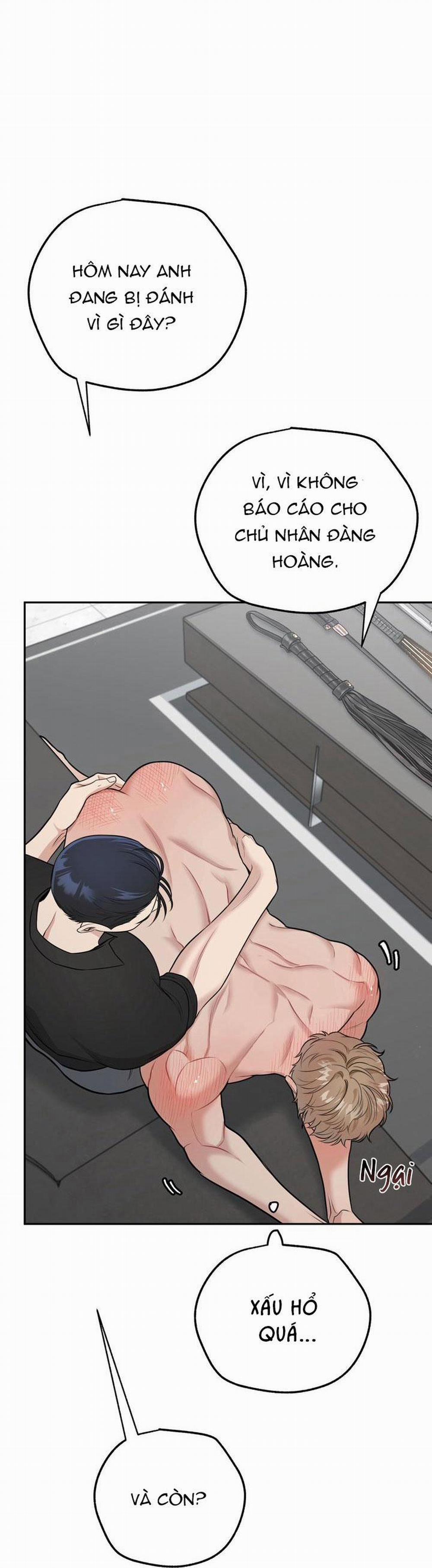 Hướng Dẫn Bdsm Cơ Bản 7 trang 23