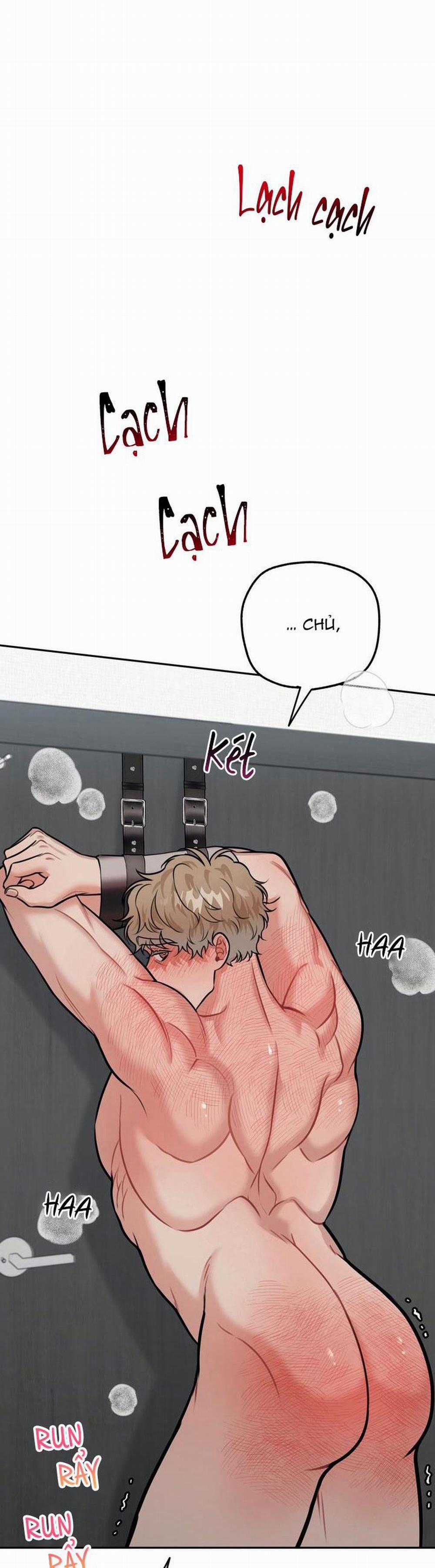 Hướng Dẫn Bdsm Cơ Bản 7 trang 38