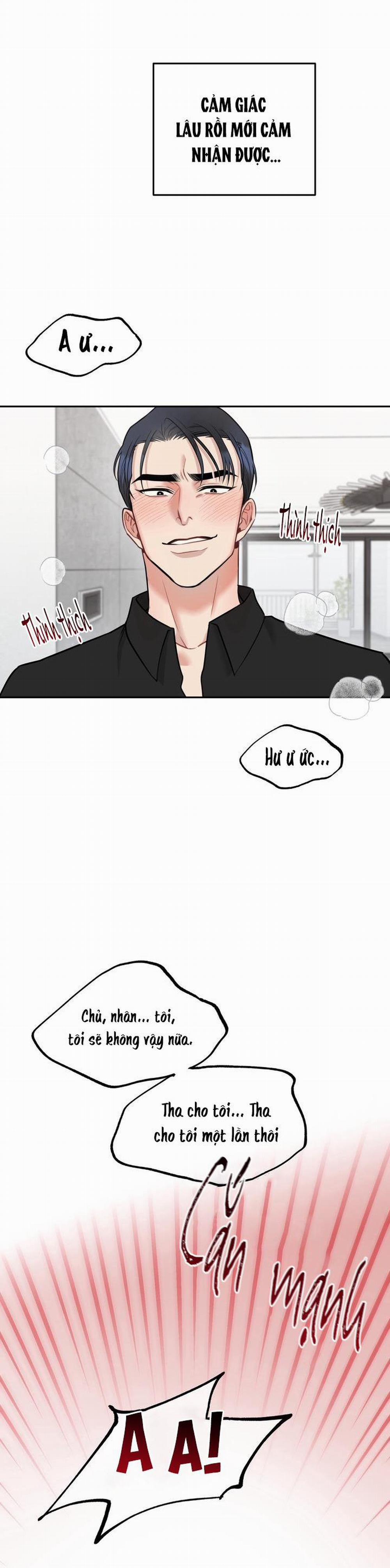 Hướng Dẫn Bdsm Cơ Bản 8 H+++ trang 10