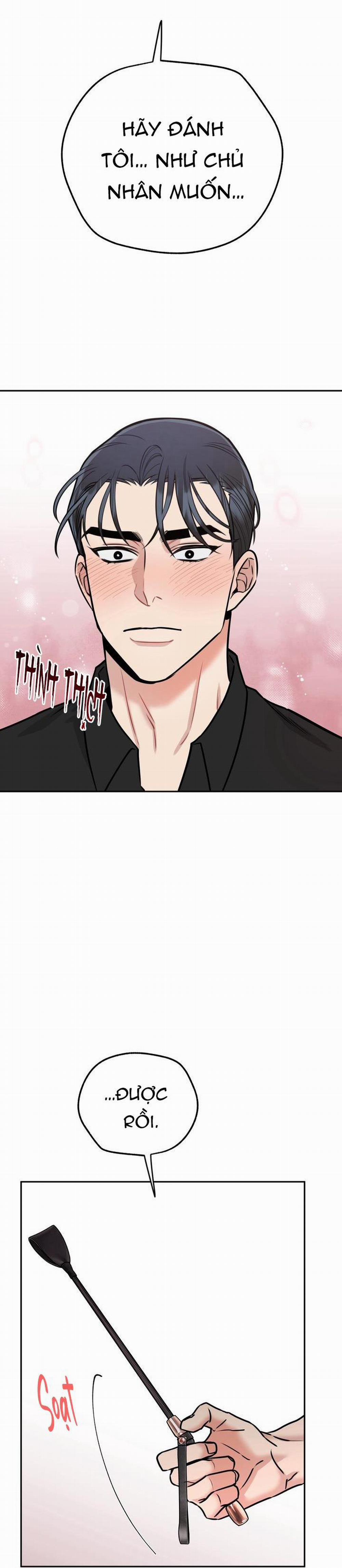 Hướng Dẫn Bdsm Cơ Bản 8 H+++ trang 20