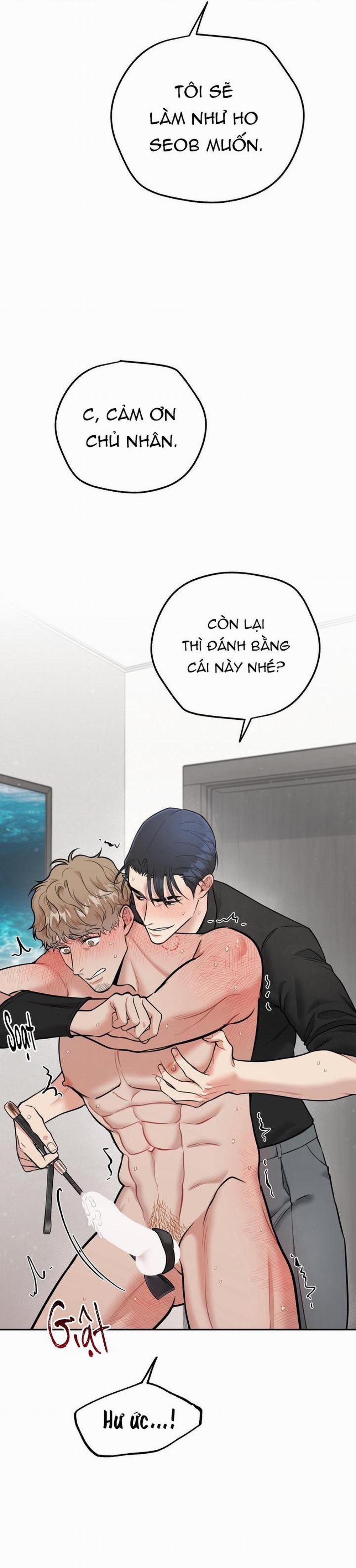 Hướng Dẫn Bdsm Cơ Bản 8 H+++ trang 21