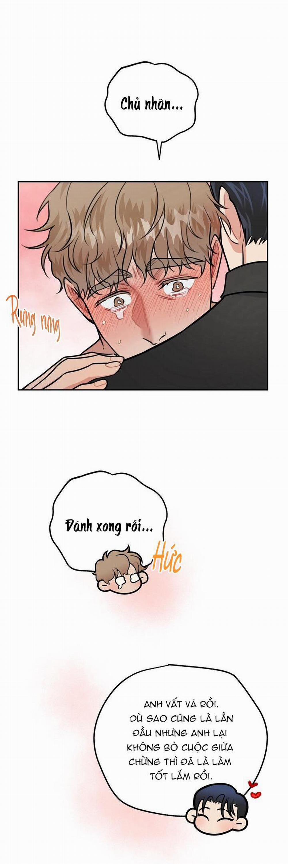 Hướng Dẫn Bdsm Cơ Bản 8 H+++ trang 31