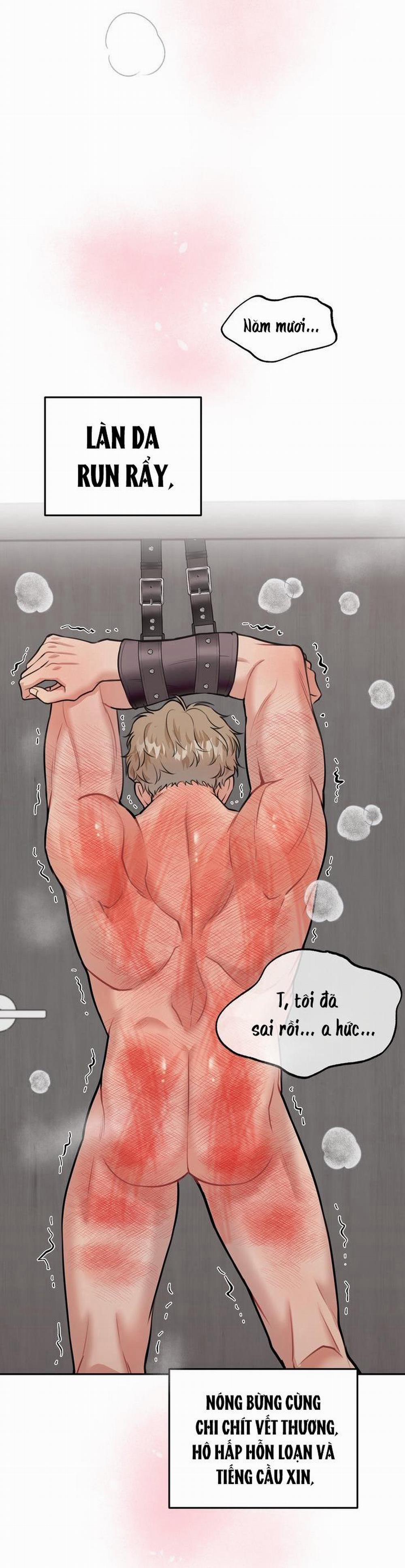 Hướng Dẫn Bdsm Cơ Bản 8 H+++ trang 8