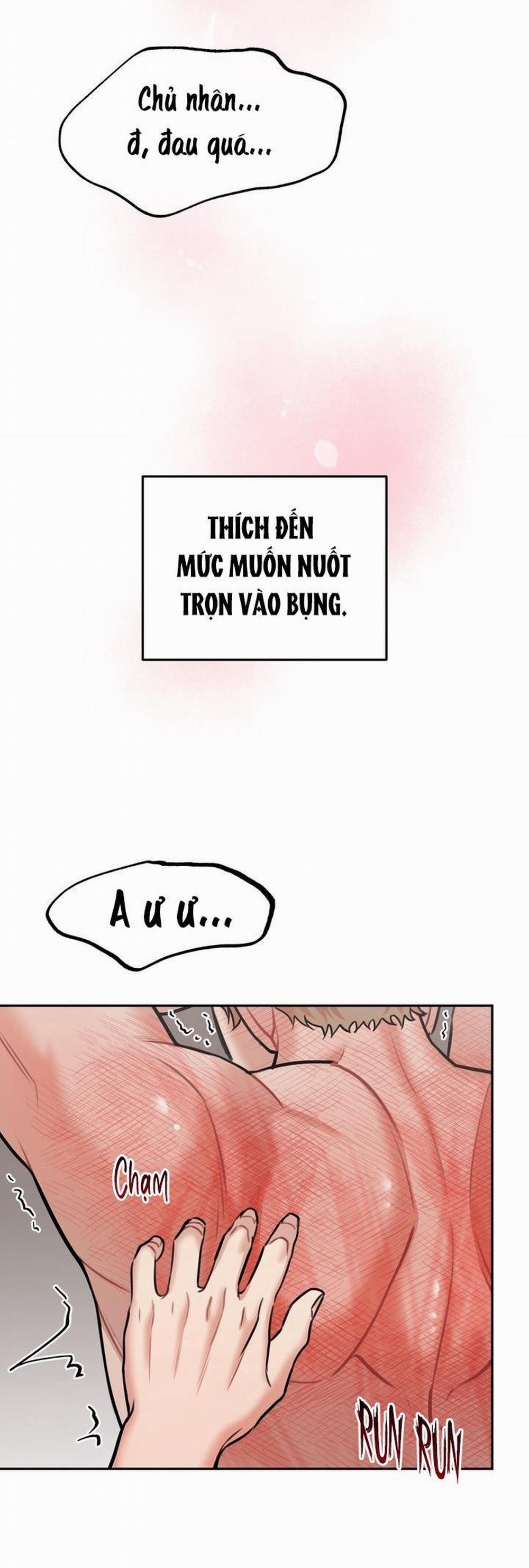 Hướng Dẫn Bdsm Cơ Bản 8 trang 9