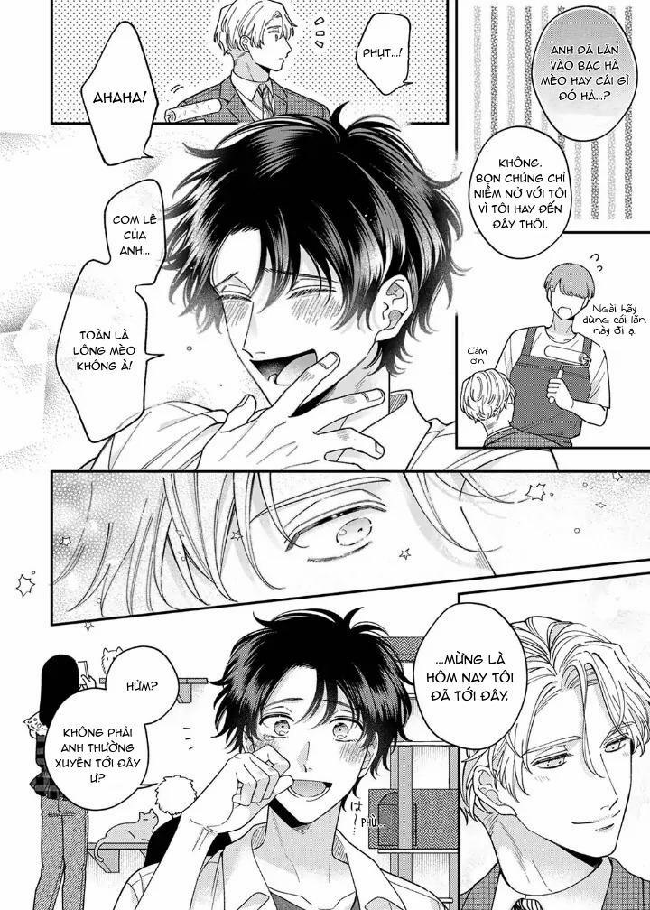 Hướng Dẫn Bị Cấm Của Tổng Biên Tập Tàn Bạo 3 trang 11