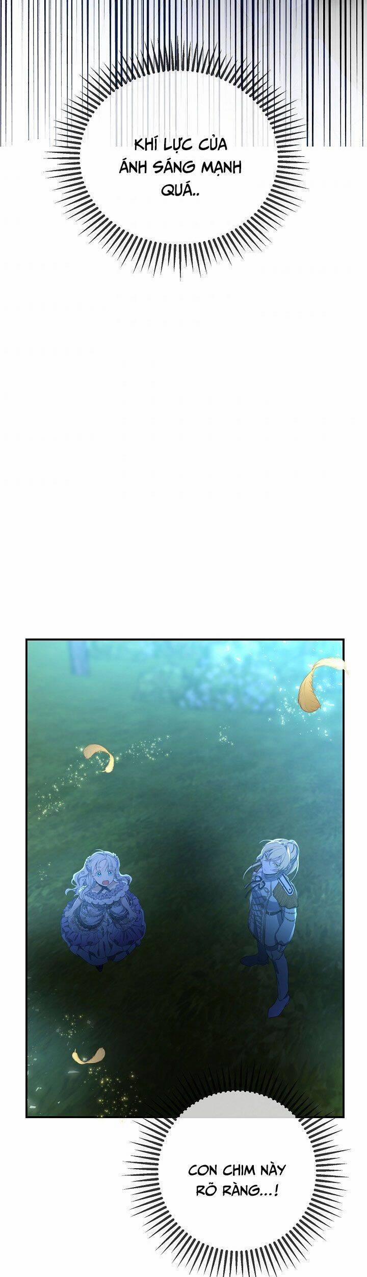 Hướng Về Ánh Dương Lần Nữa 43 trang 22