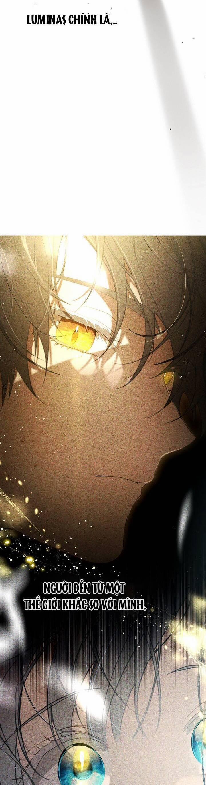 Hướng Về Ánh Dương Lần Nữa 66 trang 5