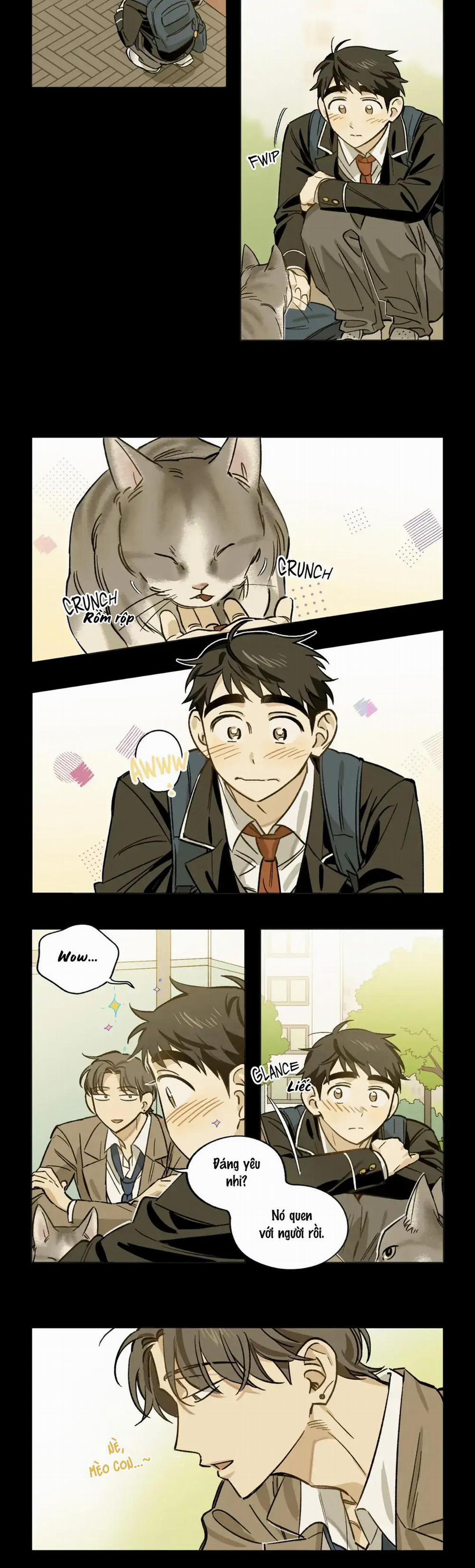 HƯỚNG VỀ EM 12 trang 8