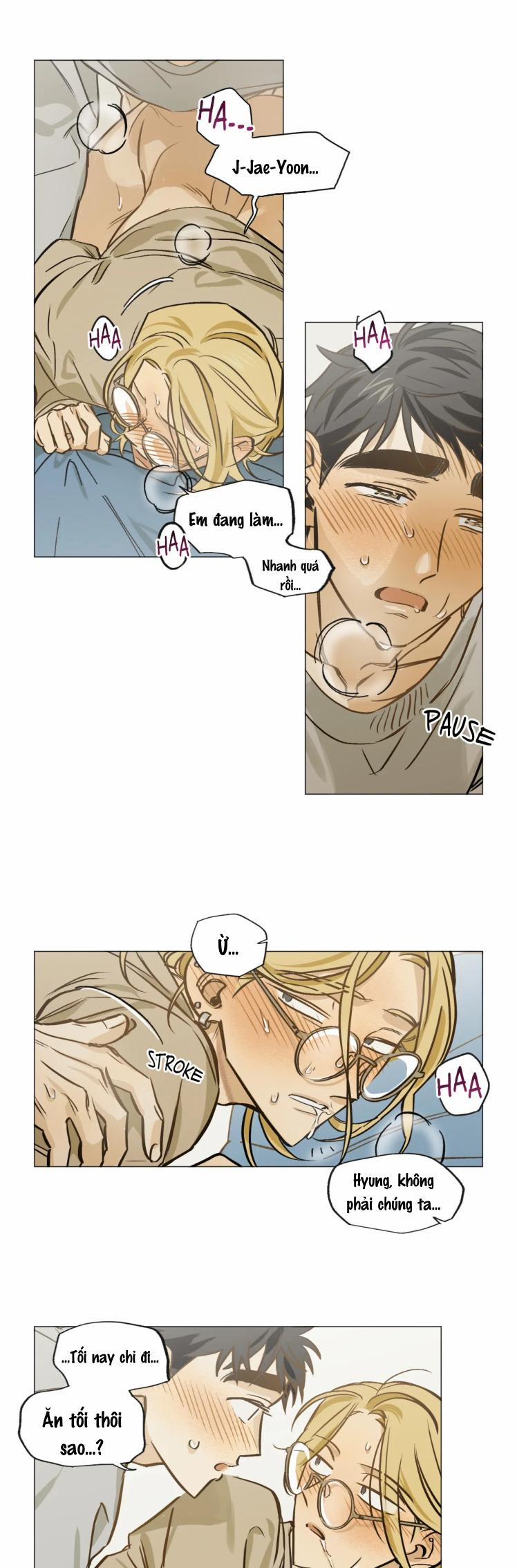 HƯỚNG VỀ EM 22 trang 17