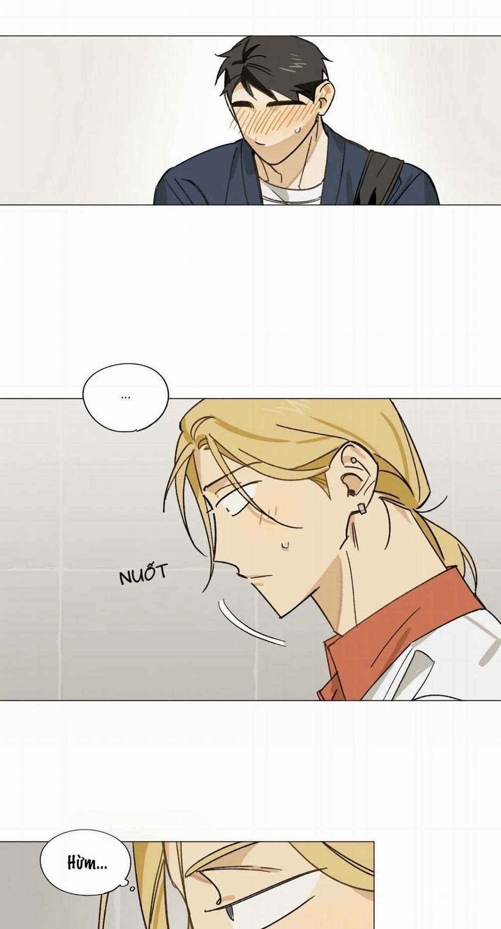 HƯỚNG VỀ EM 5 trang 17