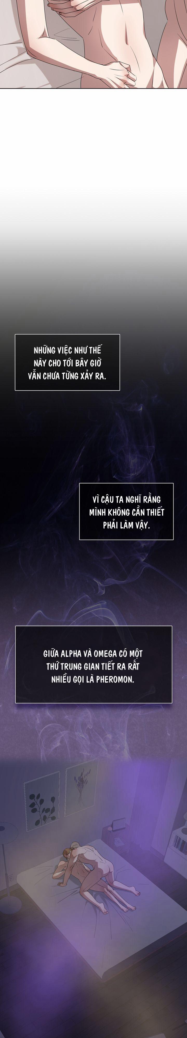 HƯỚNG VỀ PHÍA EM 10 trang 21