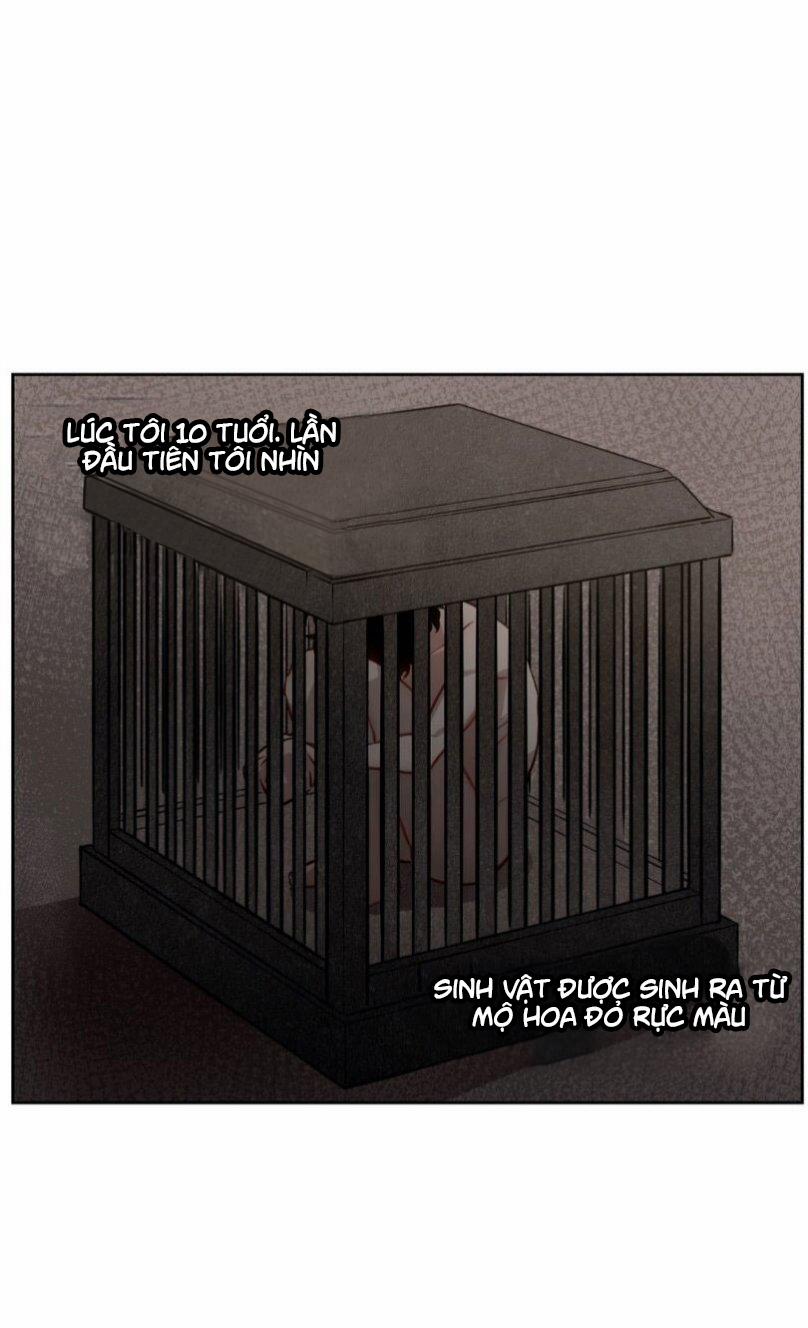 Hương Vị Ngọt Ngào 2 trang 42