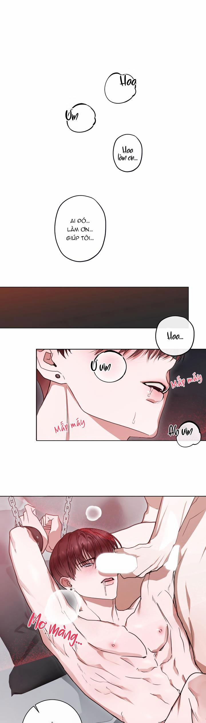 Hương Vị Người Ngoài Hành Tinh 10 0 trang 0