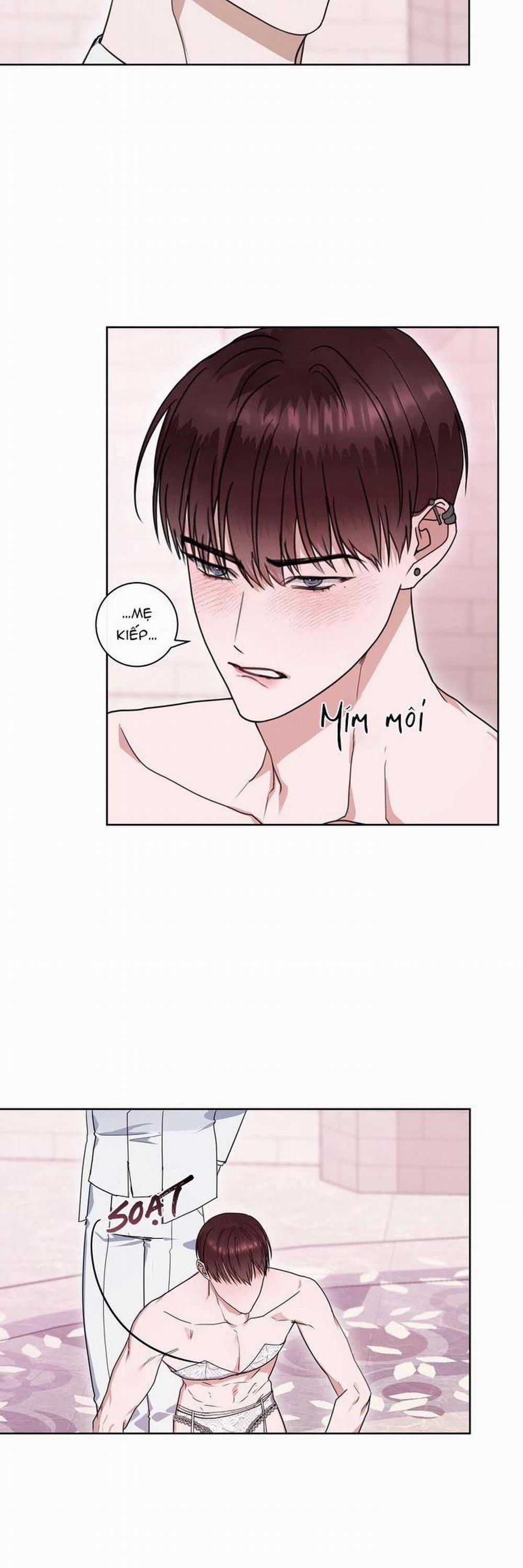 Hương Vị Người Ngoài Hành Tinh 11 trang 17