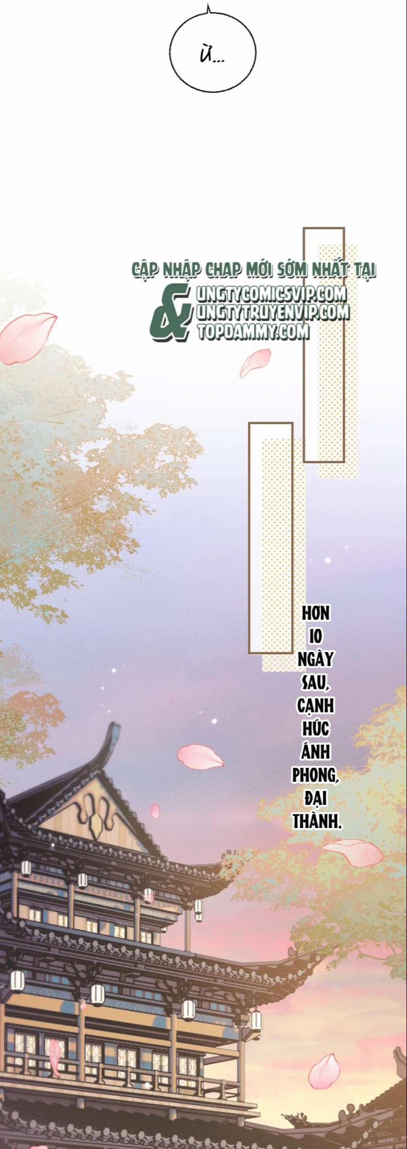 Husky Và Sư Tôn Mèo Trắng Của Hắn 40 trang 18