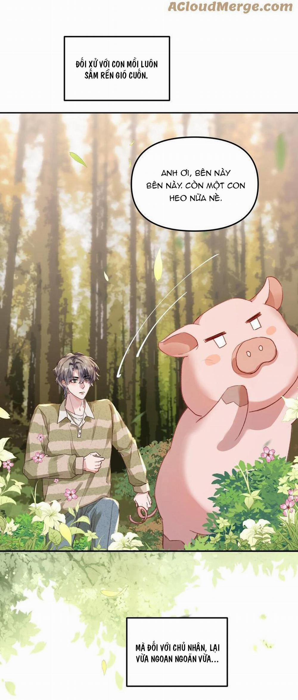 Hữu Danh 54 trang 4