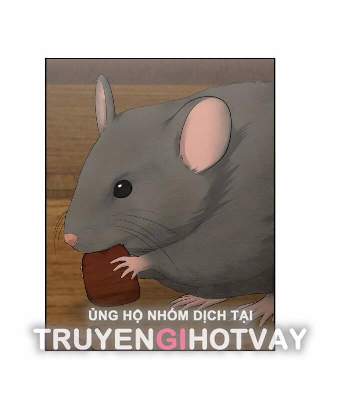 Hy Vọng Duy Nhất 56.1 trang 12