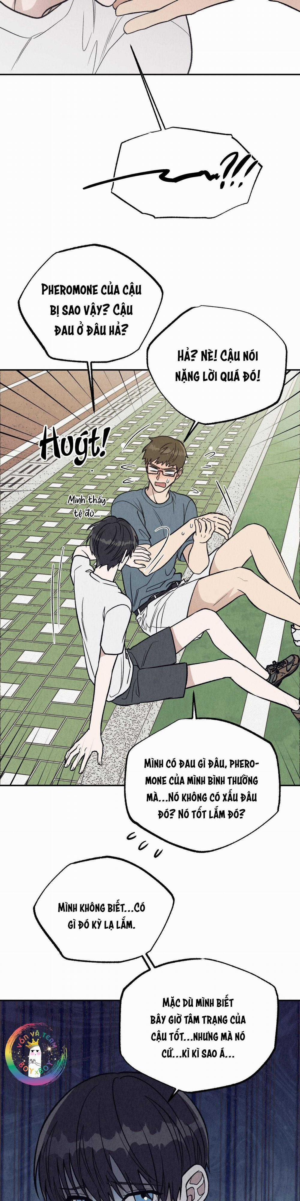 I Love You 6 trang 11