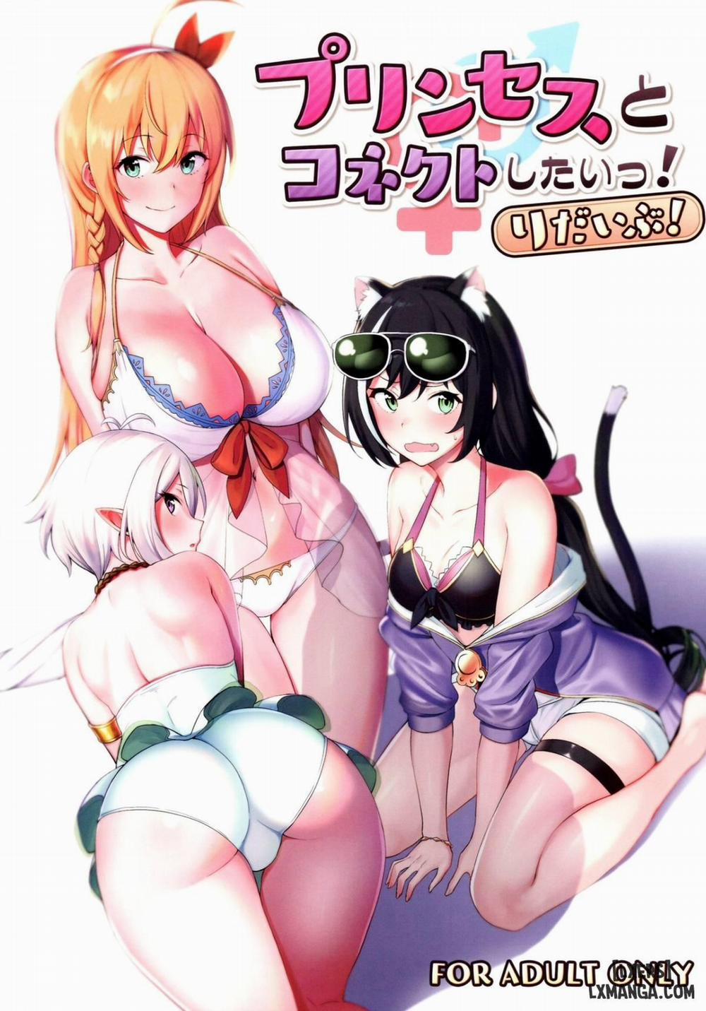I want to connect with a princess! ReDive! Oneshot trang 0