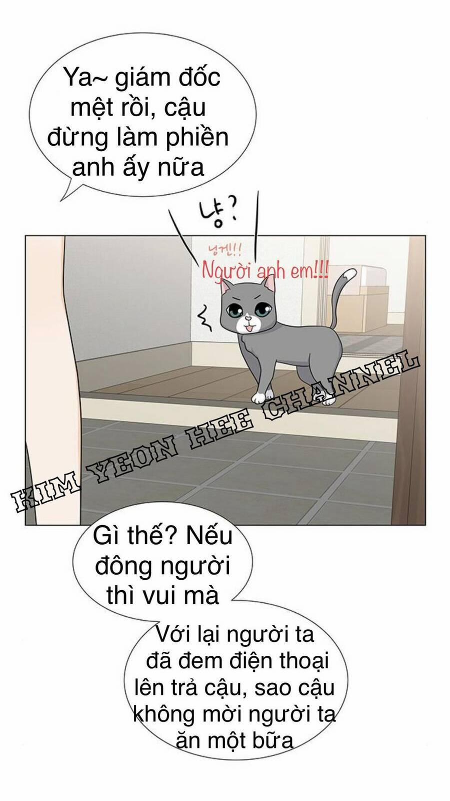 Idol Và Sếp, Em Yêu Ai? 102 trang 15