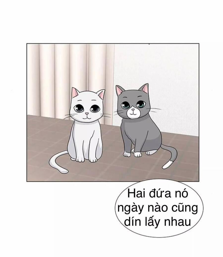 Idol Và Sếp, Em Yêu Ai? 117 trang 17