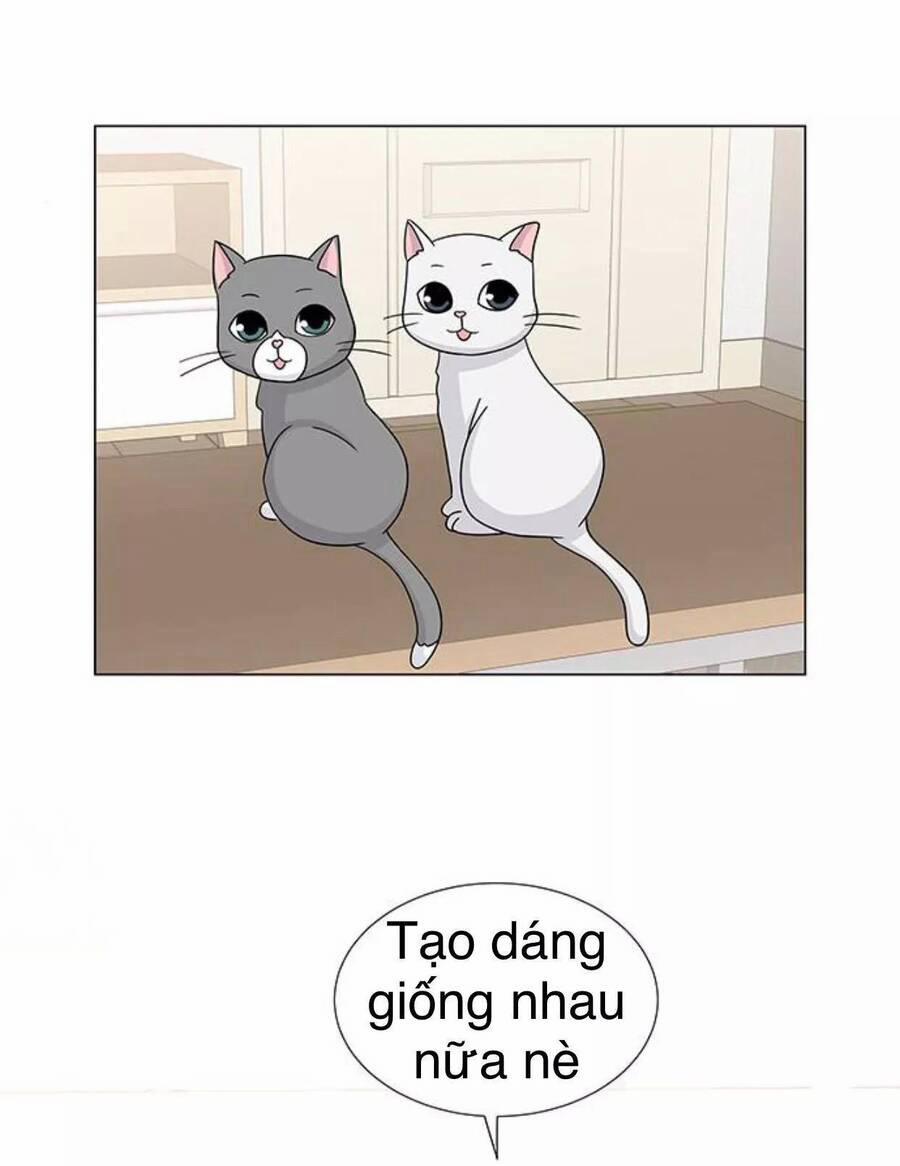 Idol Và Sếp, Em Yêu Ai? 117 trang 18