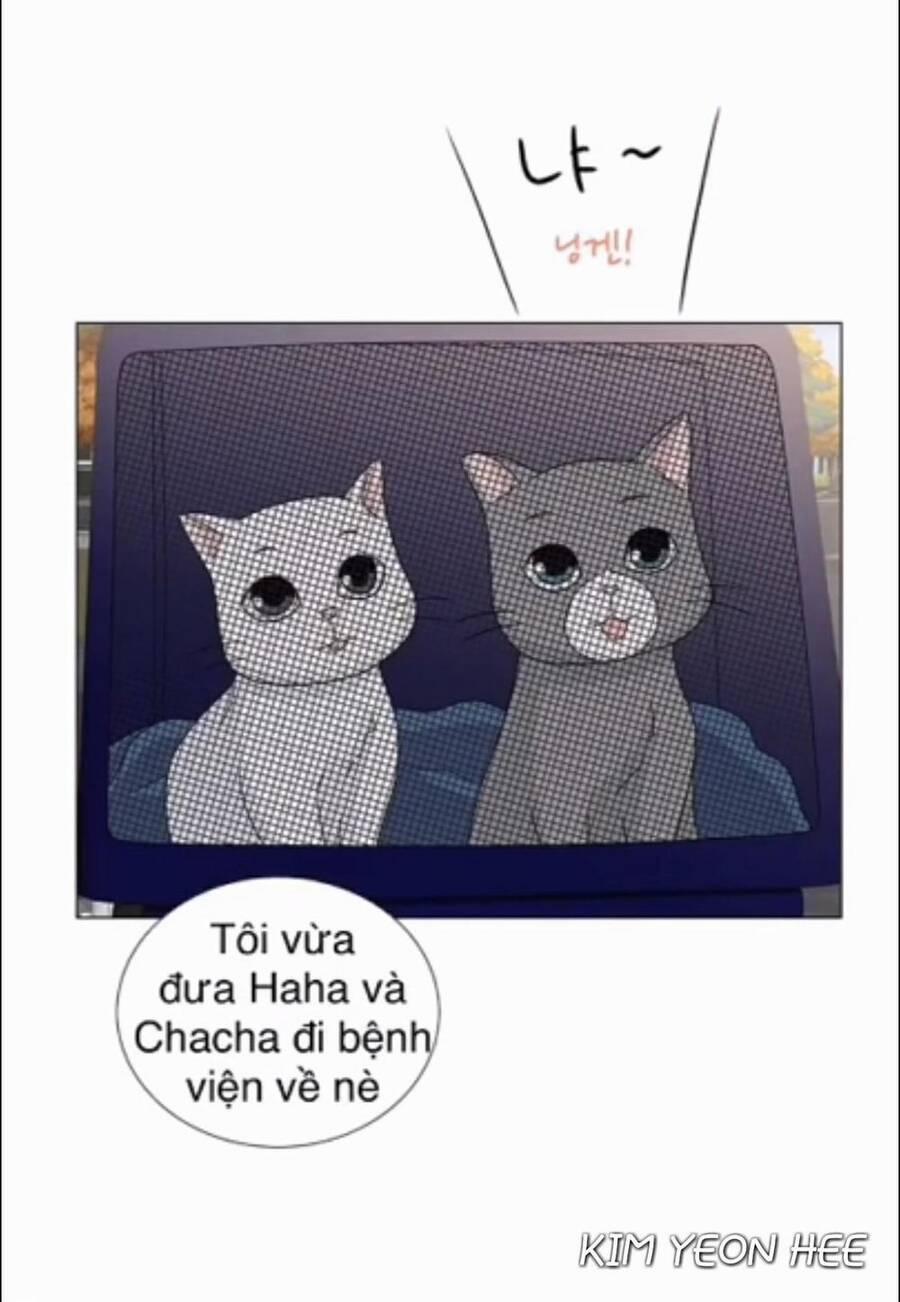 Idol Và Sếp, Em Yêu Ai? 128 trang 18