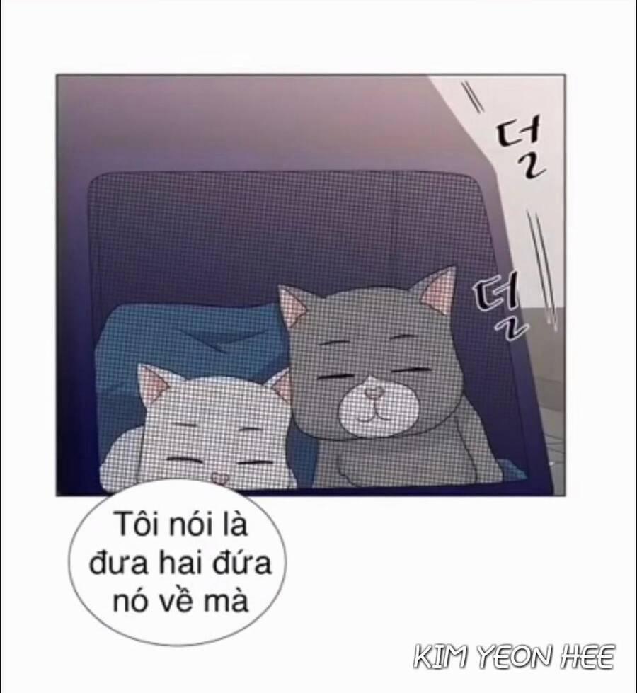 Idol Và Sếp, Em Yêu Ai? 128 trang 21