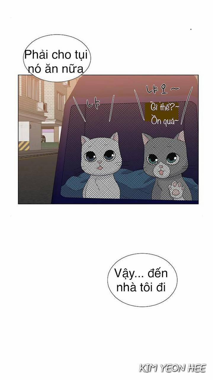 Idol Và Sếp, Em Yêu Ai? 129 trang 40