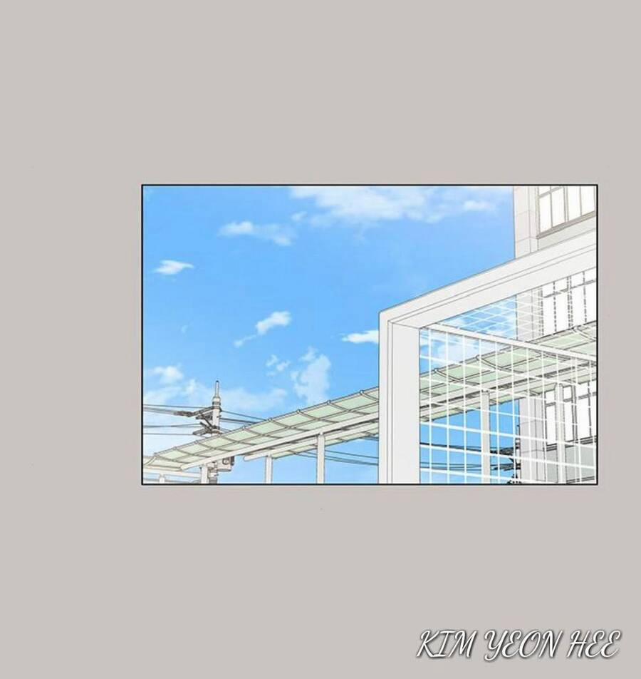 Idol Và Sếp, Em Yêu Ai? 146 trang 11