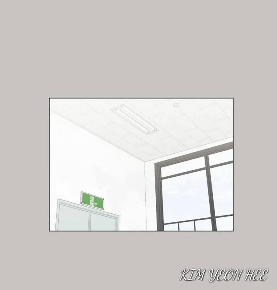 Idol Và Sếp, Em Yêu Ai? 147 trang 1