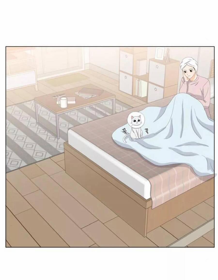 Idol Và Sếp, Em Yêu Ai? 22 trang 27