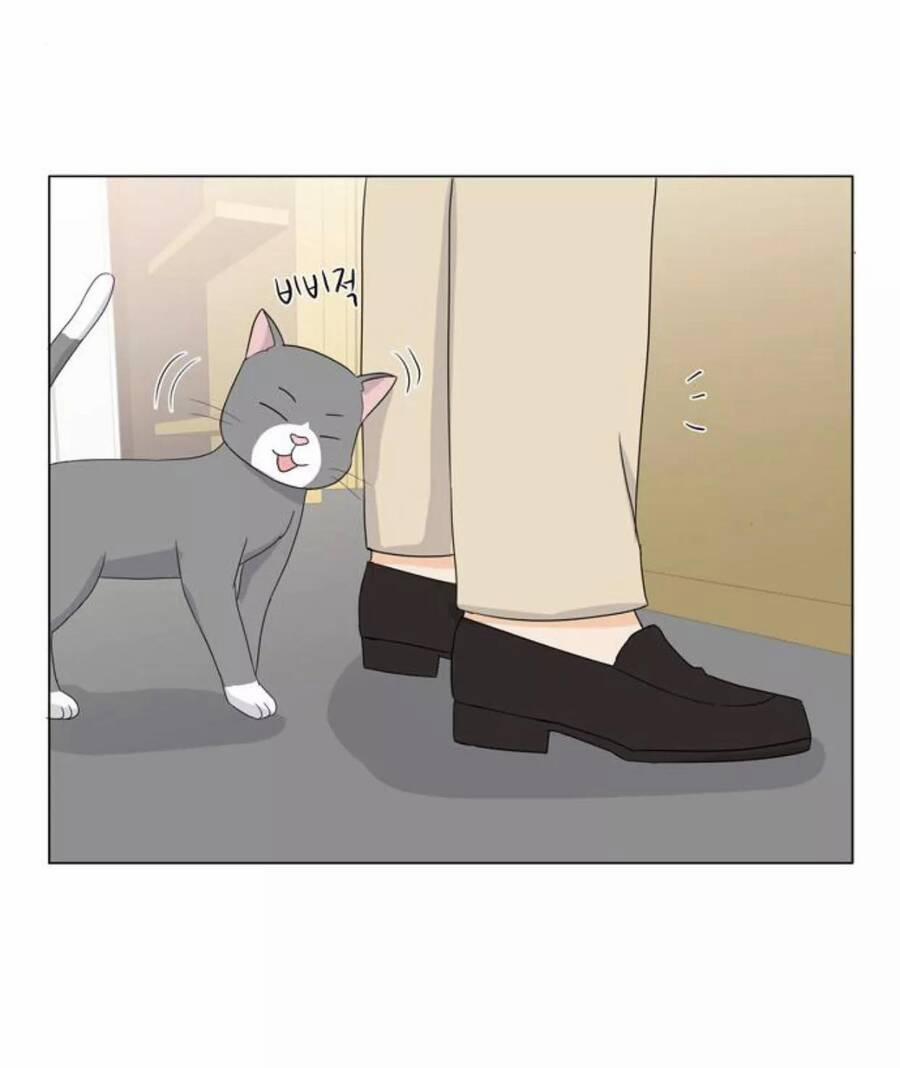 Idol Và Sếp, Em Yêu Ai? 22 trang 7