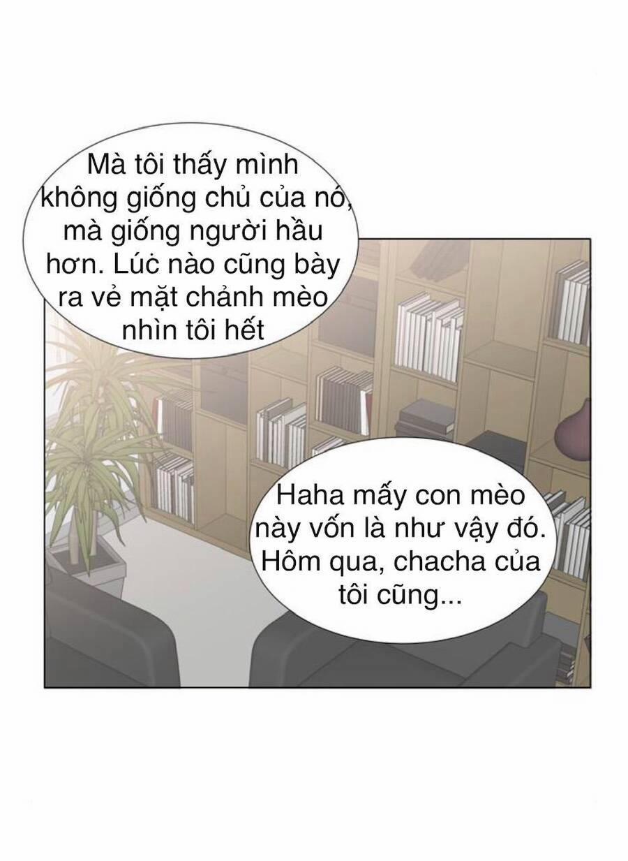 Idol Và Sếp, Em Yêu Ai? 24 trang 21