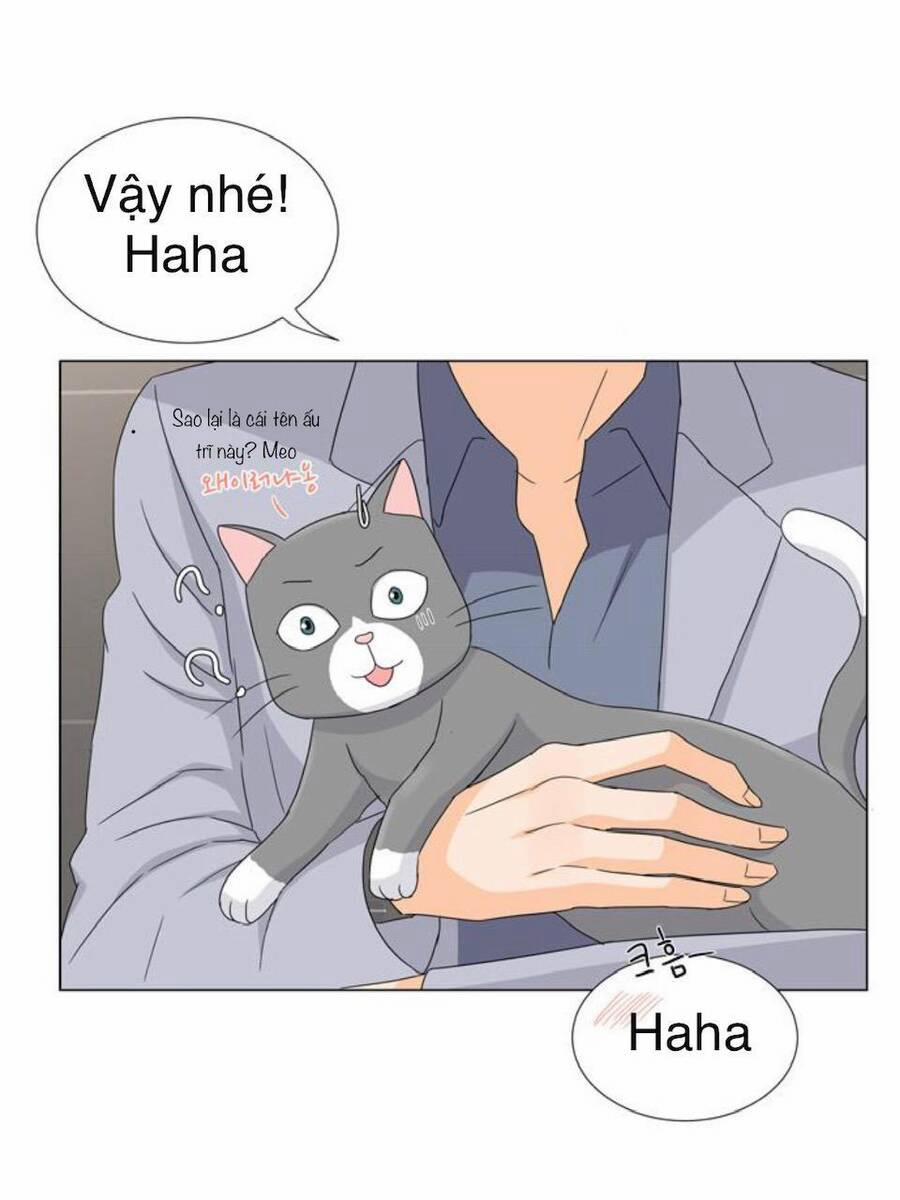 Idol Và Sếp, Em Yêu Ai? 27 trang 11