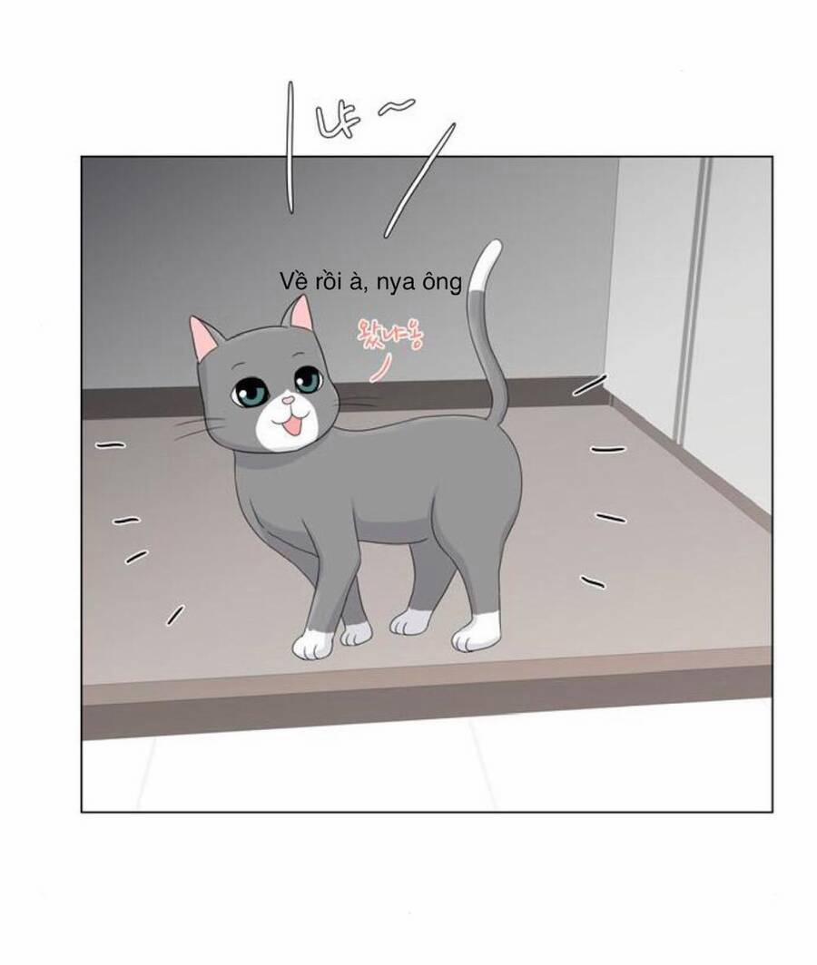 Idol Và Sếp, Em Yêu Ai? 27 trang 4