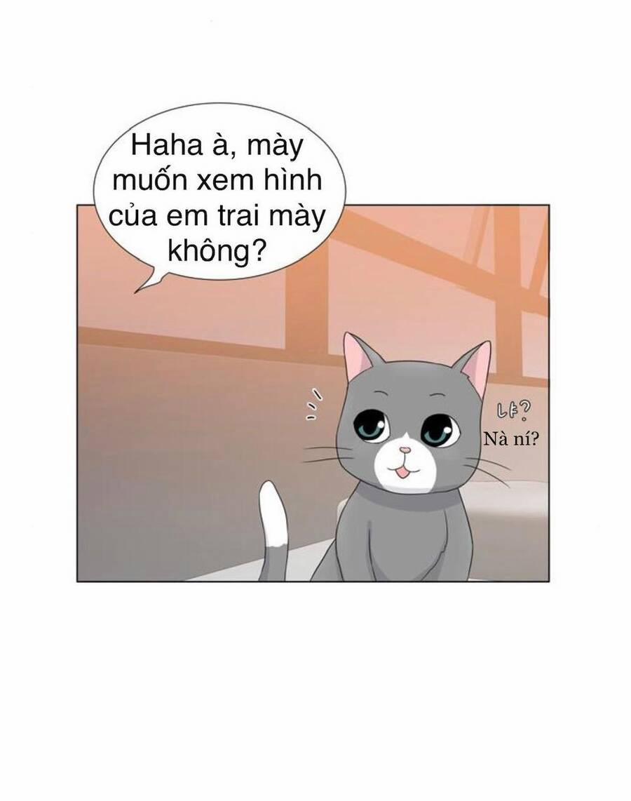 Idol Và Sếp, Em Yêu Ai? 32 trang 1