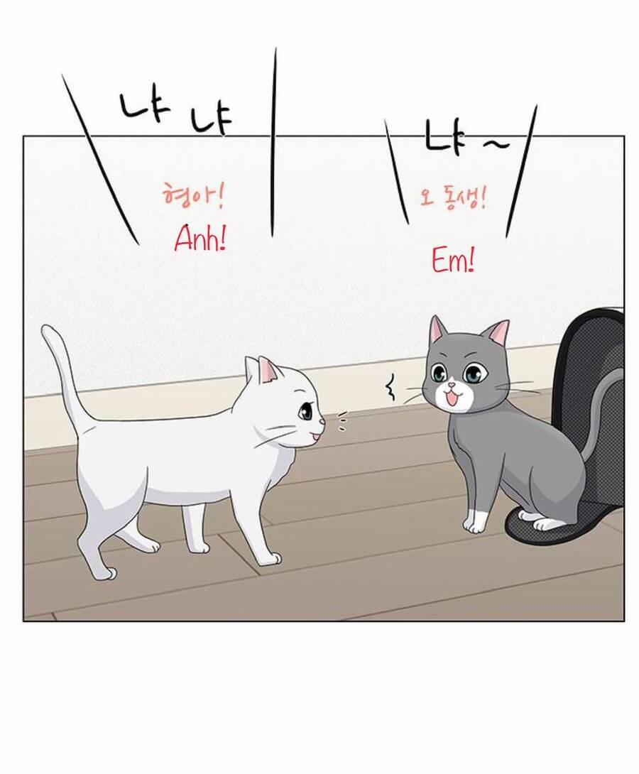 Idol Và Sếp, Em Yêu Ai? 91 trang 25