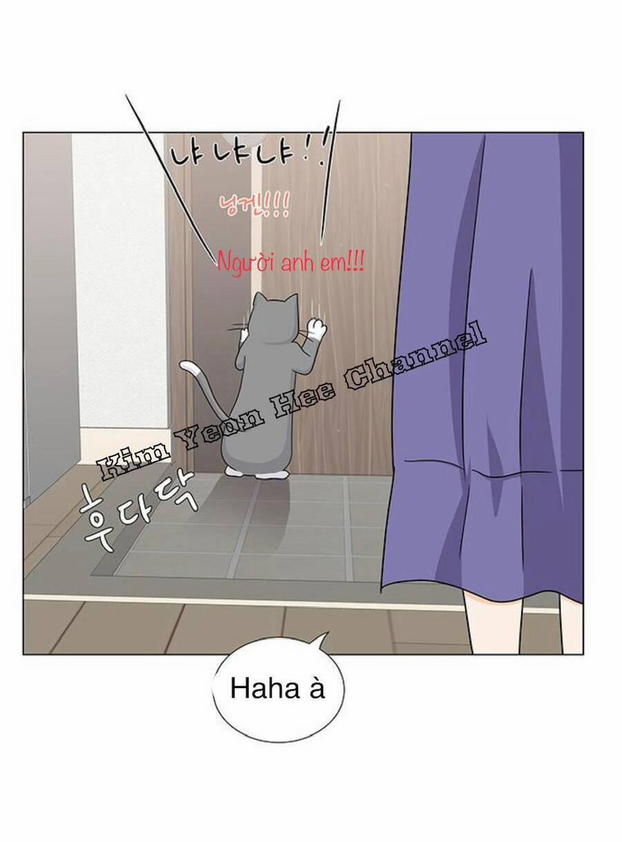 Idol Và Sếp, Em Yêu Ai? 91 trang 38