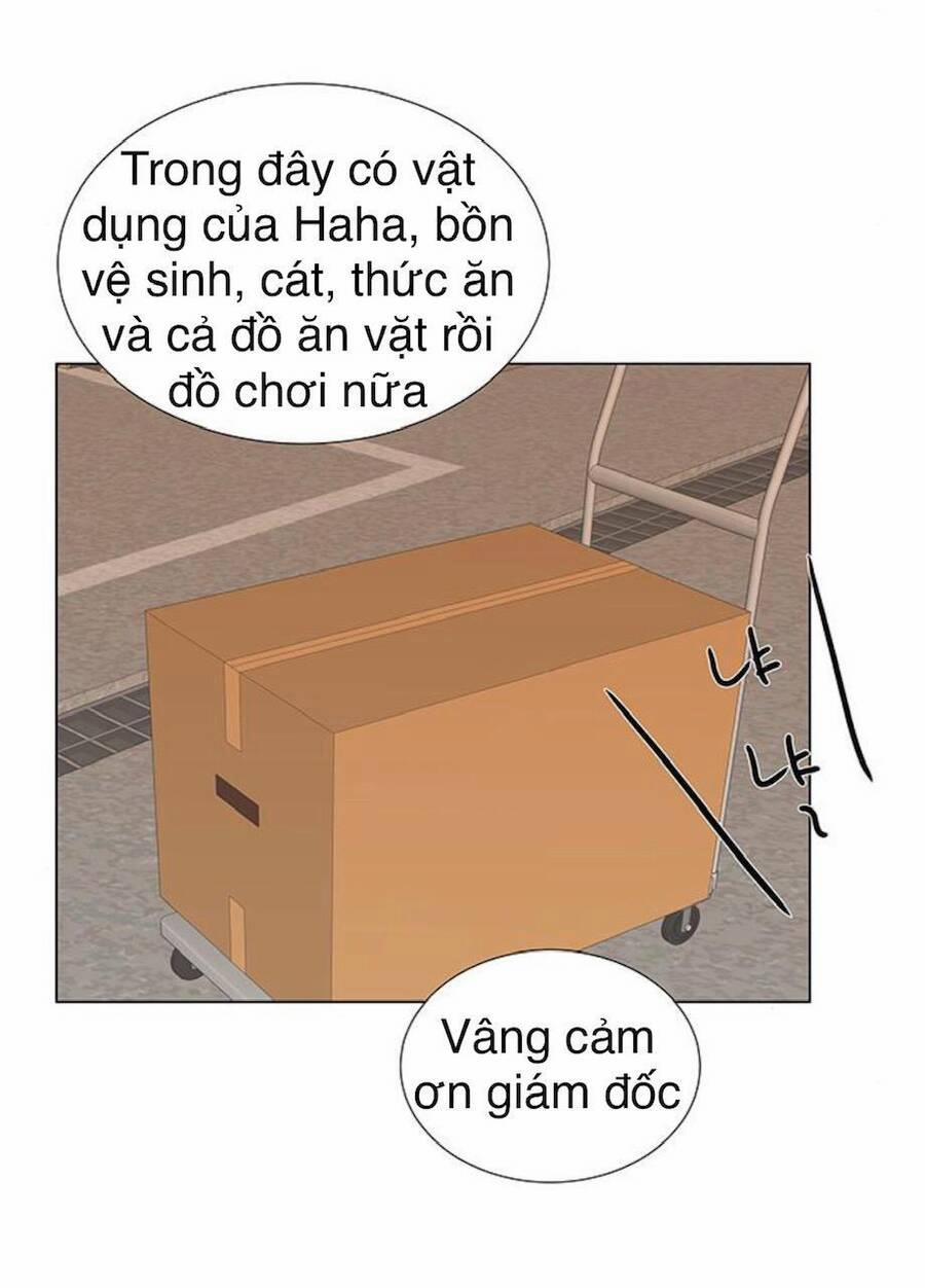 Idol Và Sếp, Em Yêu Ai? 91 trang 4