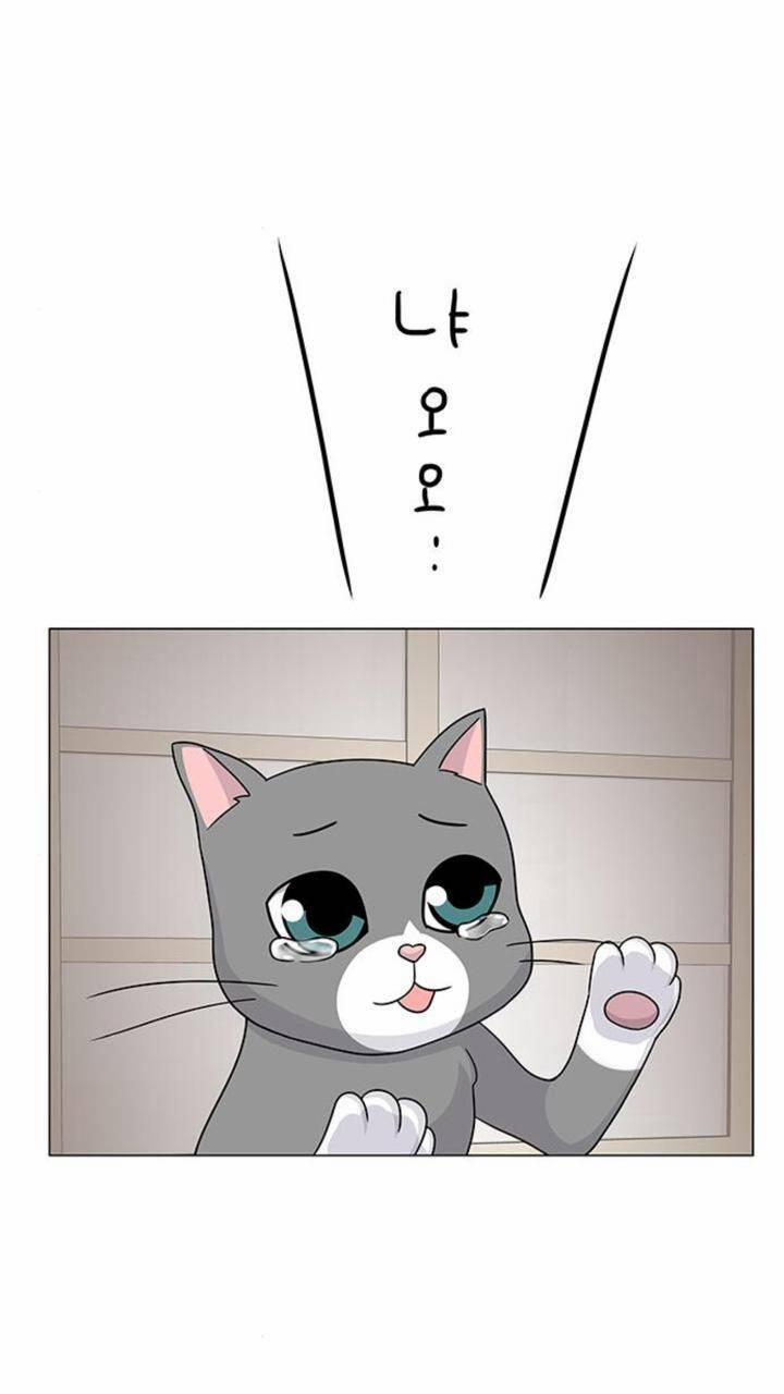 Idol Và Sếp, Em Yêu Ai? 91 trang 40