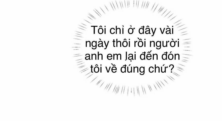 Idol Và Sếp, Em Yêu Ai? 98 trang 42