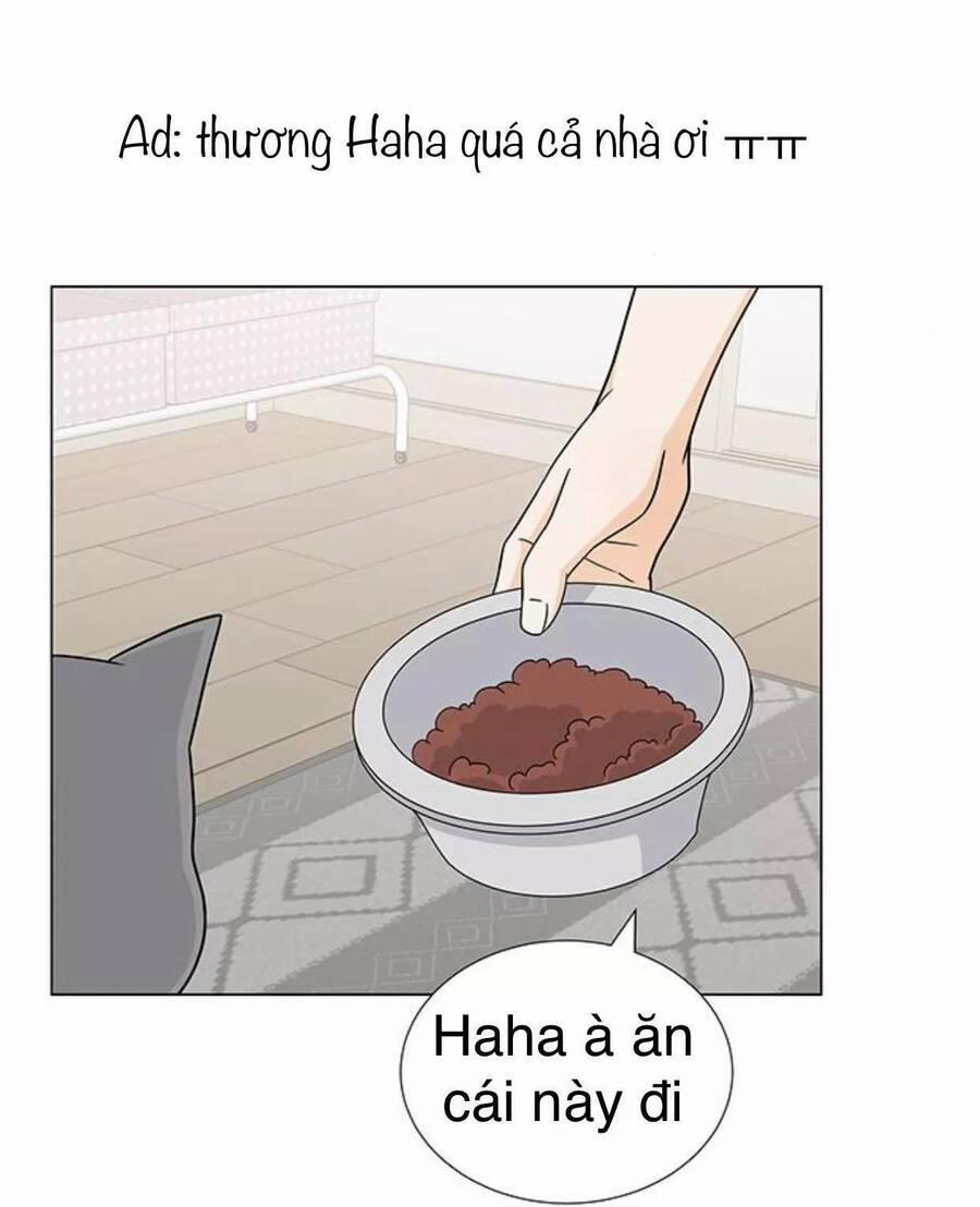 Idol Và Sếp, Em Yêu Ai? 98 trang 43